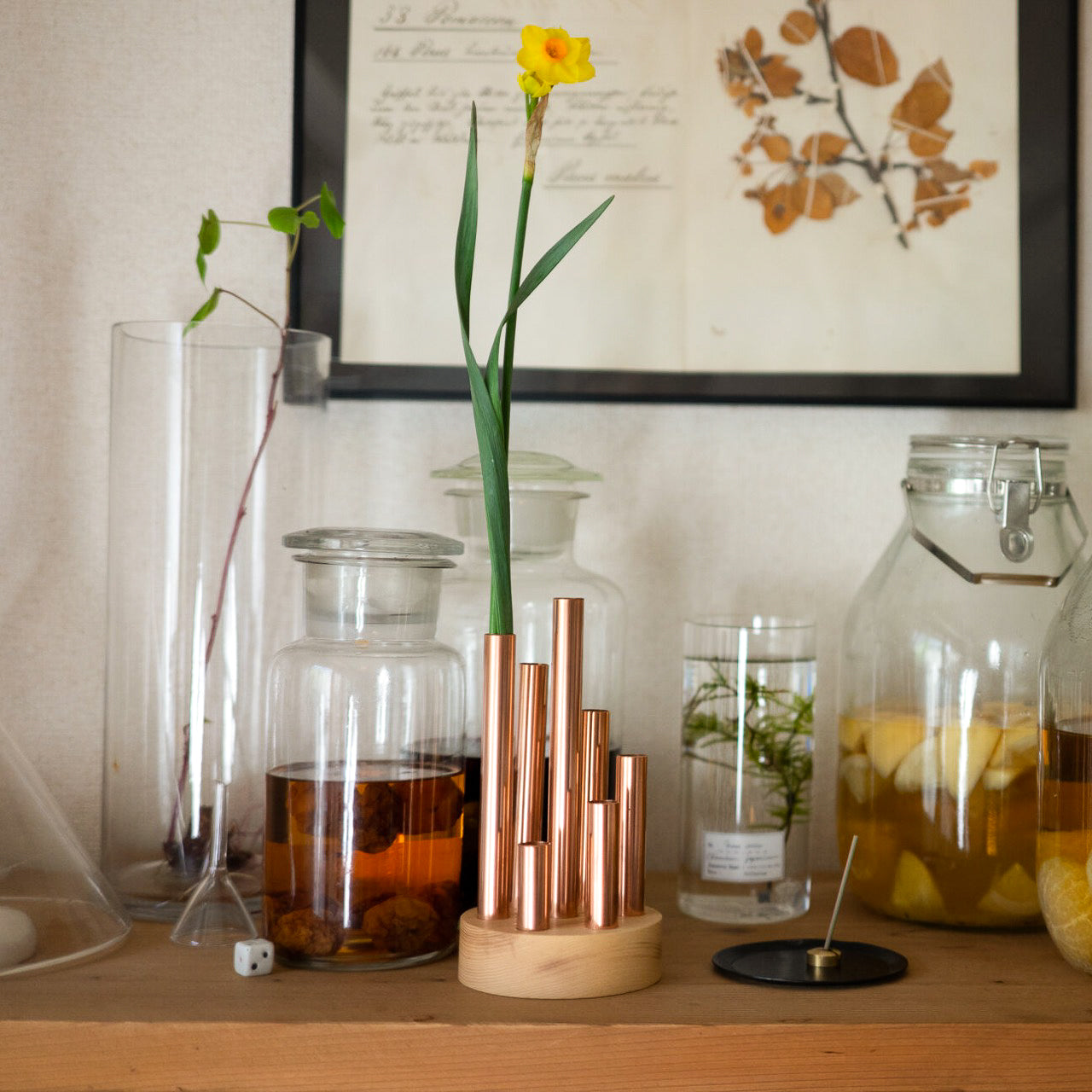 Modular Flower Tubes – Yanko Design Select