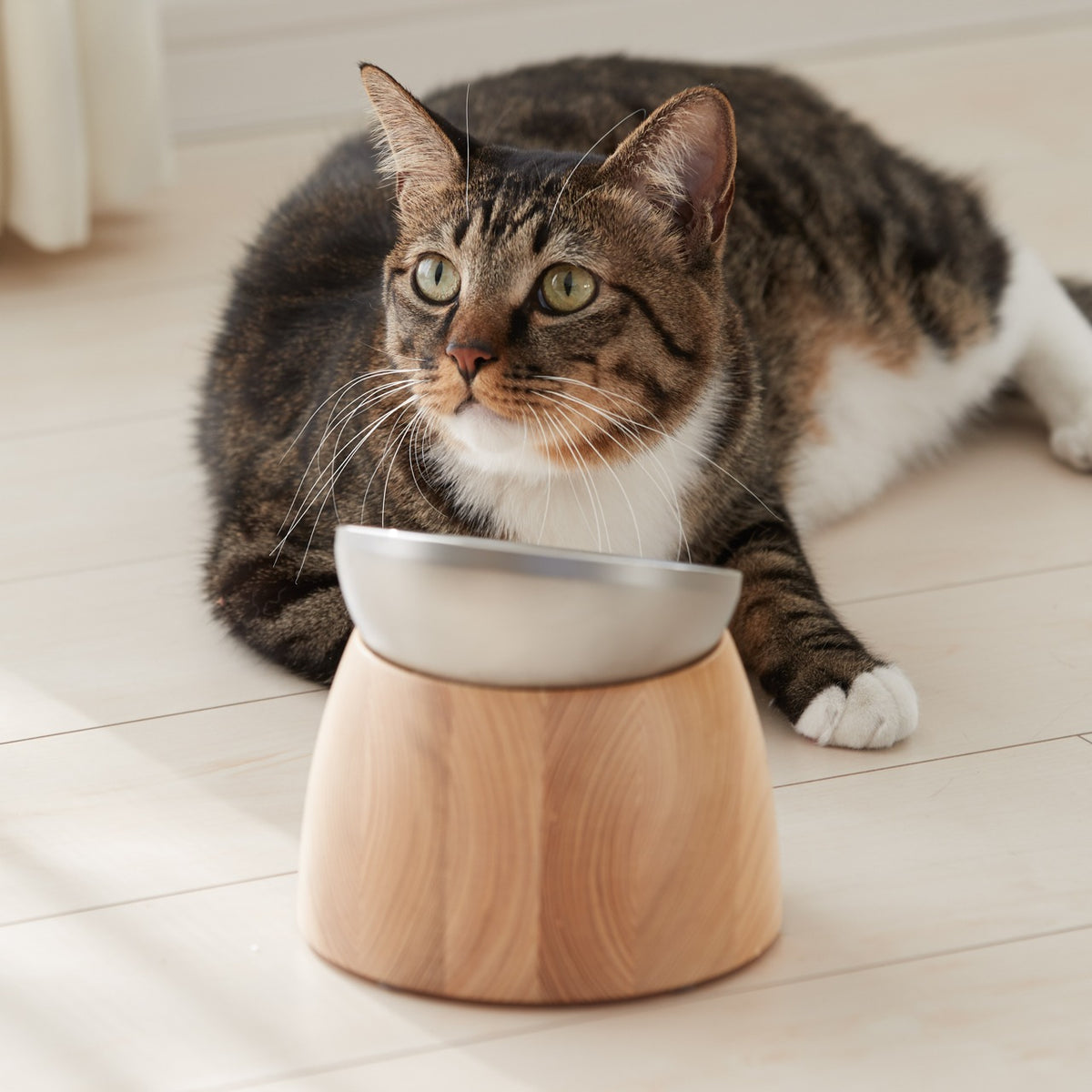 Precision-crafted Pet Bowl