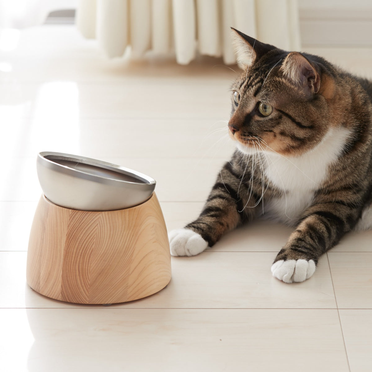 Precision-crafted Pet Bowl